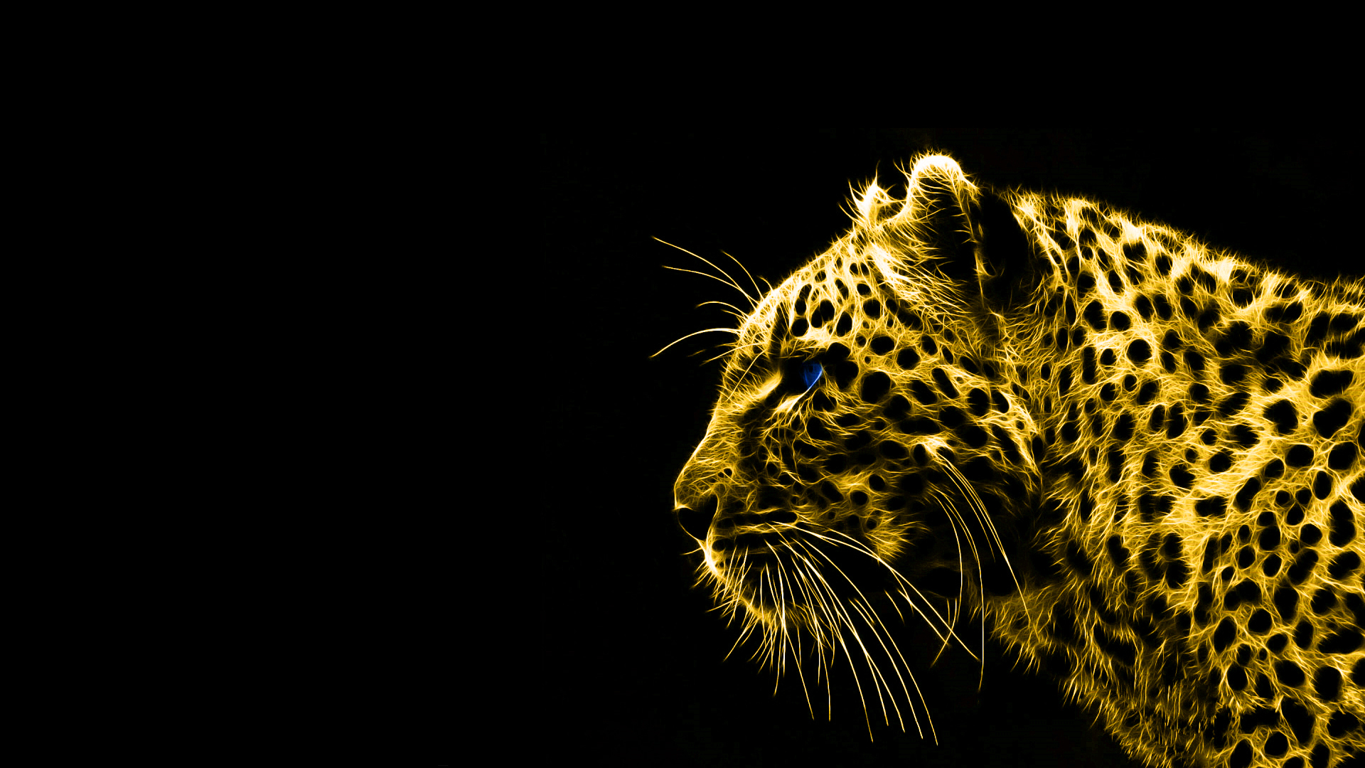 Animals Gold Spirit Leopards Black Background HD