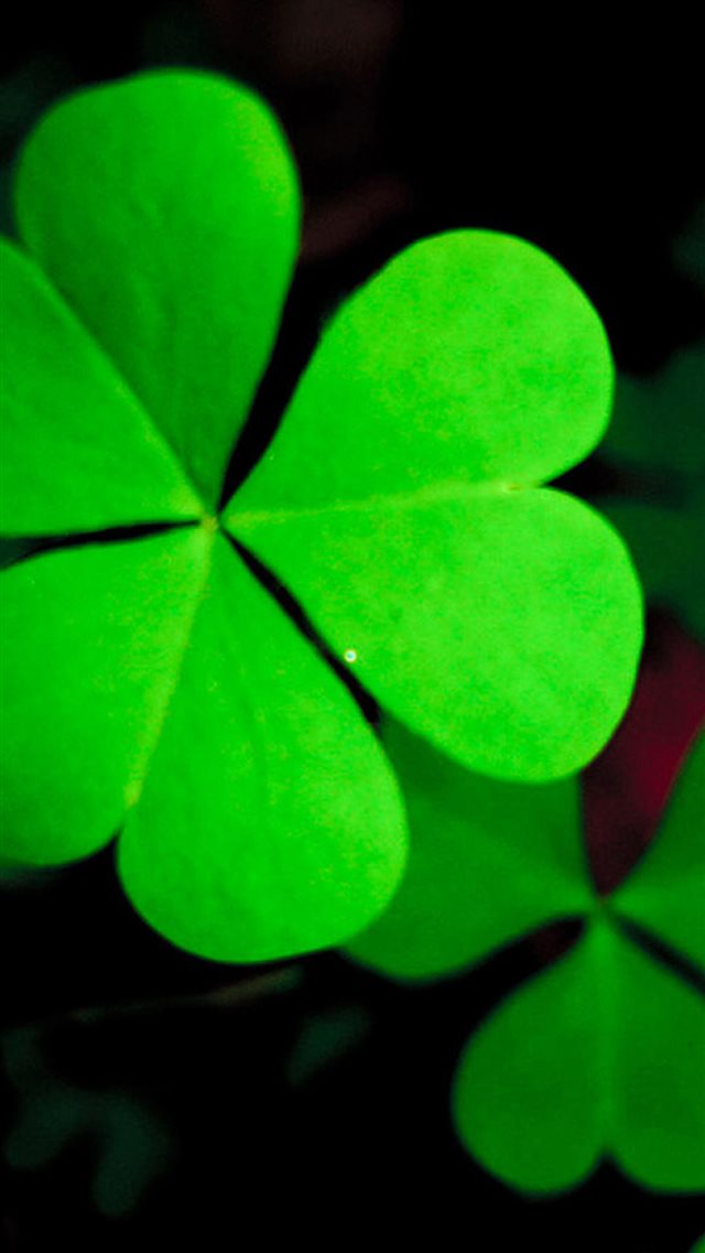 Pure Green Lucky Grass Clover Leaf Close Up iPhone 8 Free Download