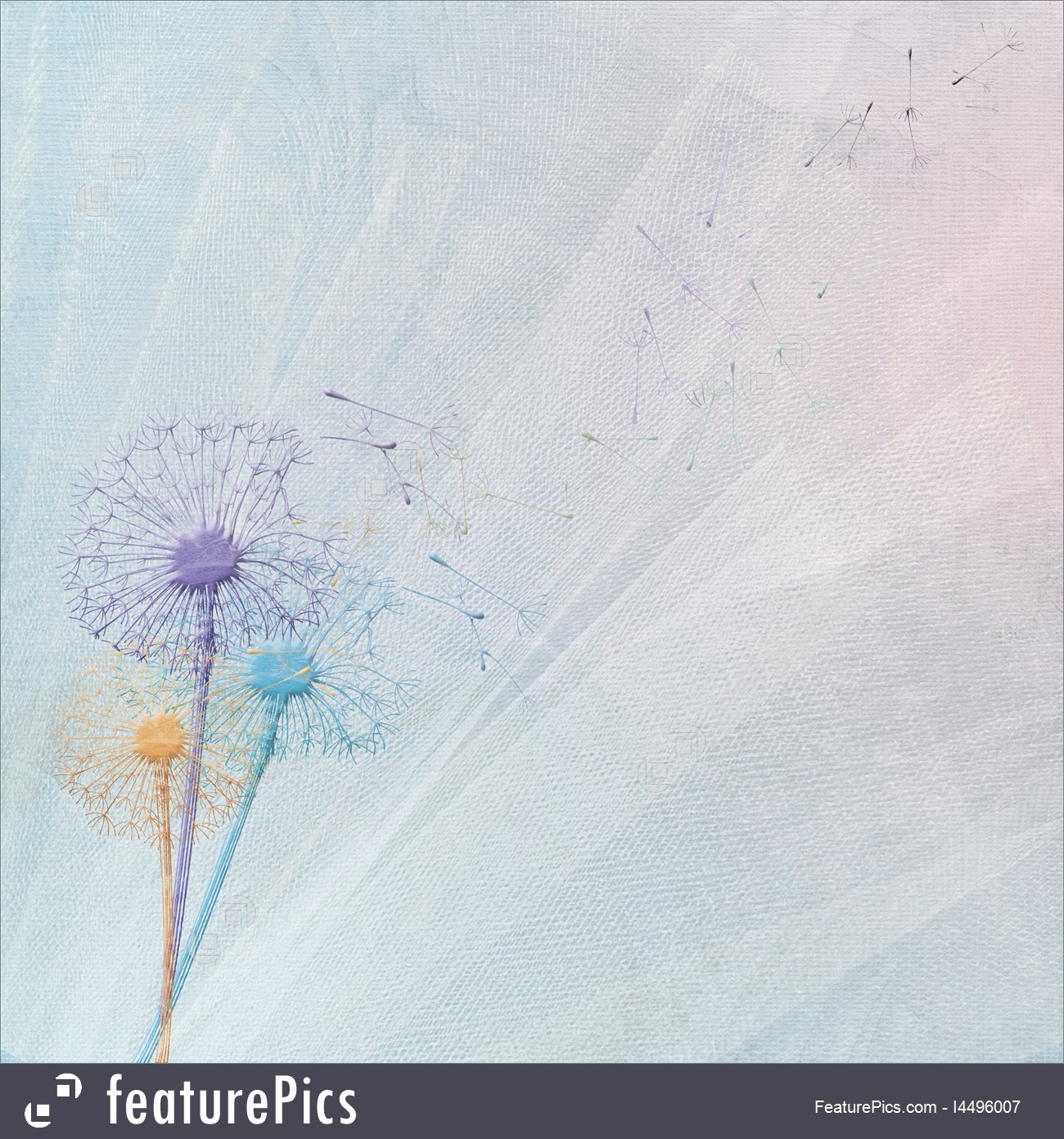Illustration Of Dandelions On Tulle