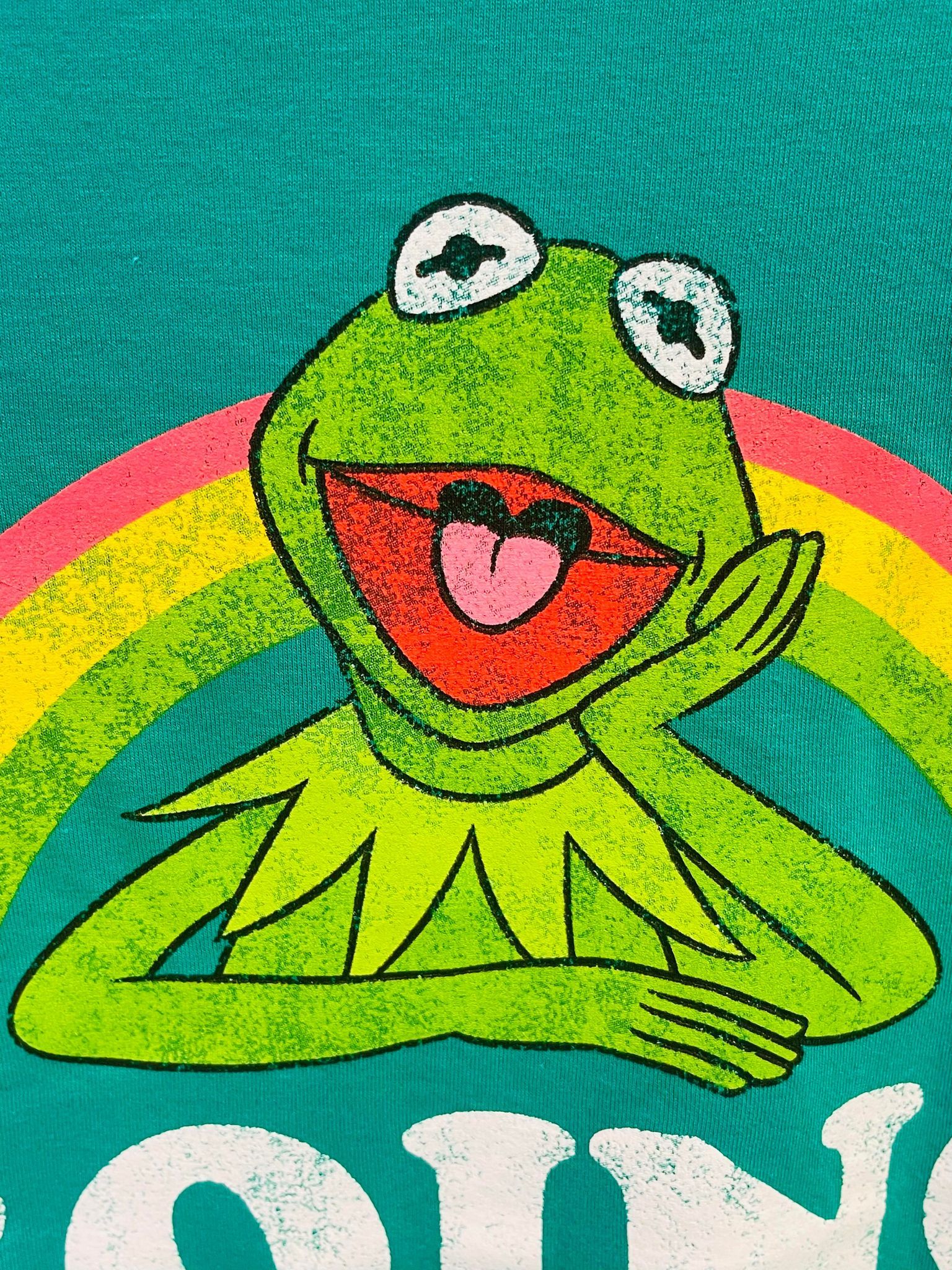 Kermit The Frog Aesthetic Wallpaper