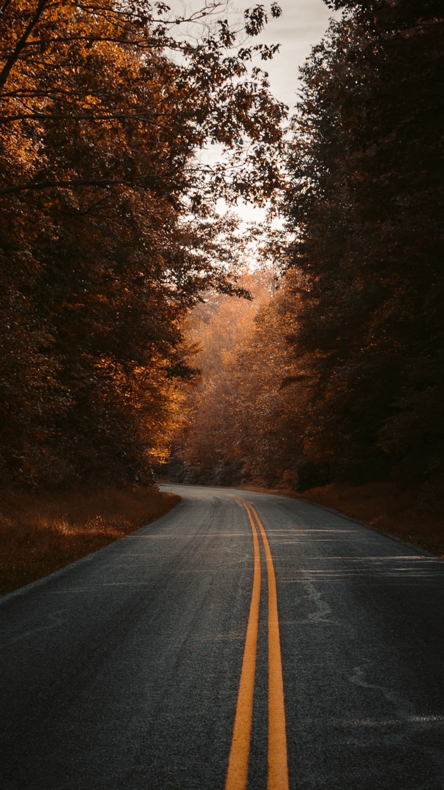 Free download 1440x2560 Fall road highway wallpaper Nature photography  [1440x2560] for your Desktop, Mobile & Tablet | Explore 6+ Highway Wallpaper  |