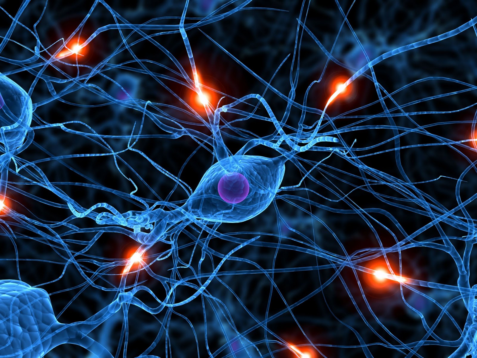 Ing Brain Synapse Neurons HD Wallpaper Color Palette Tags