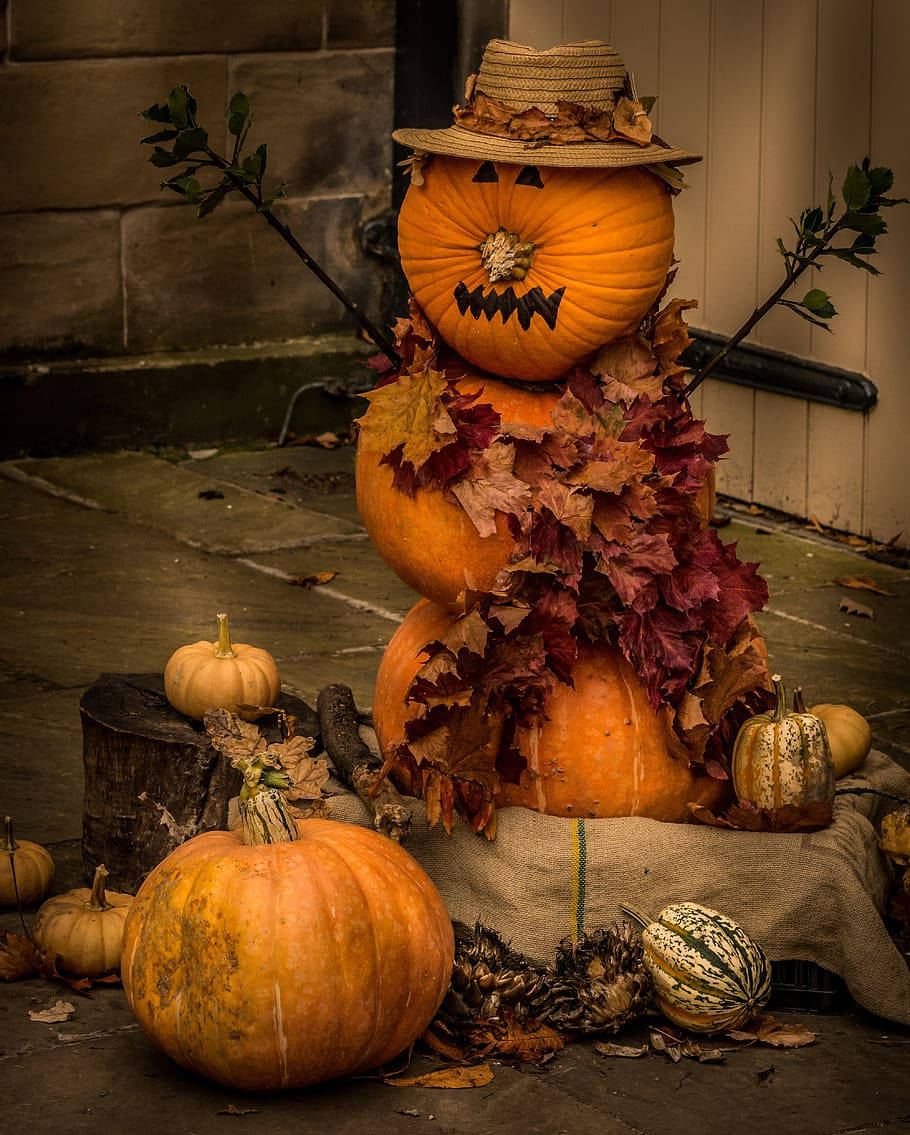 The Spooky Season Is Here Wallpaper