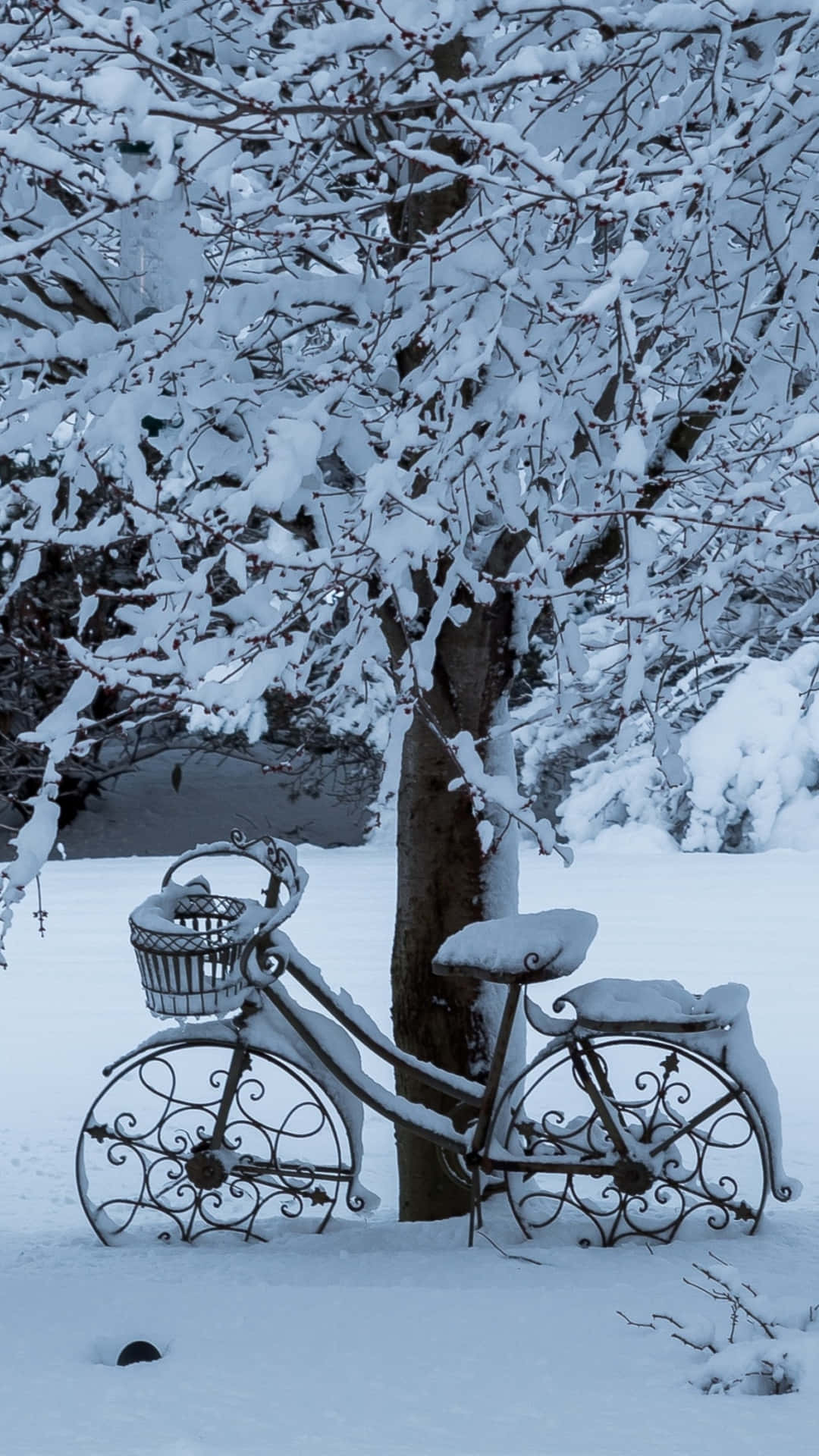 Snow Falling Wallpaper