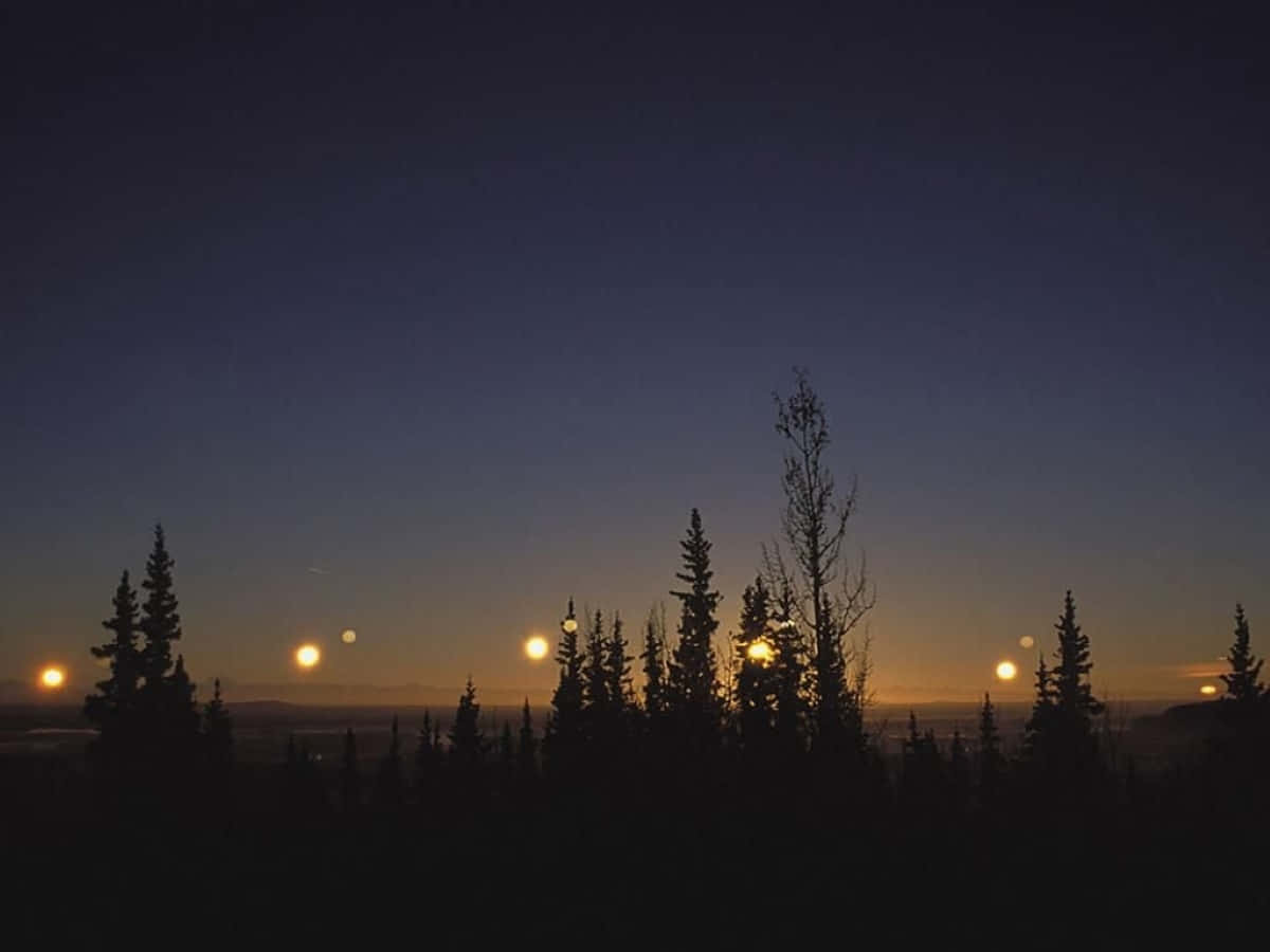 Winter Solstice Wallpaper