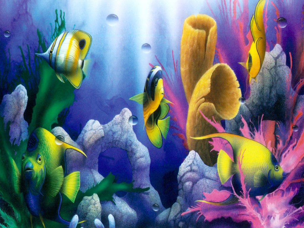 Aquarium Wallpaper Fish Water Desktop Hd Wallpapers Wallpaprer
