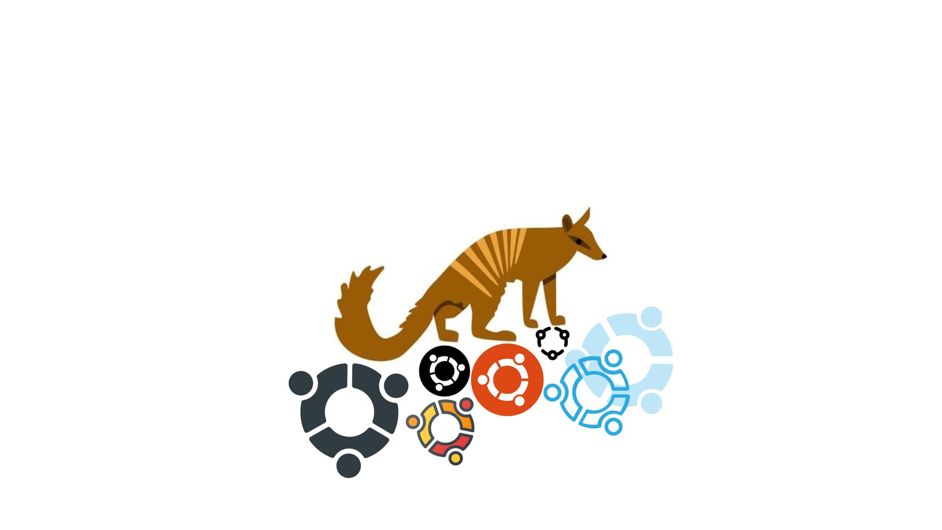  free download numbat wallpaper by jjensen12 wallpapersafari