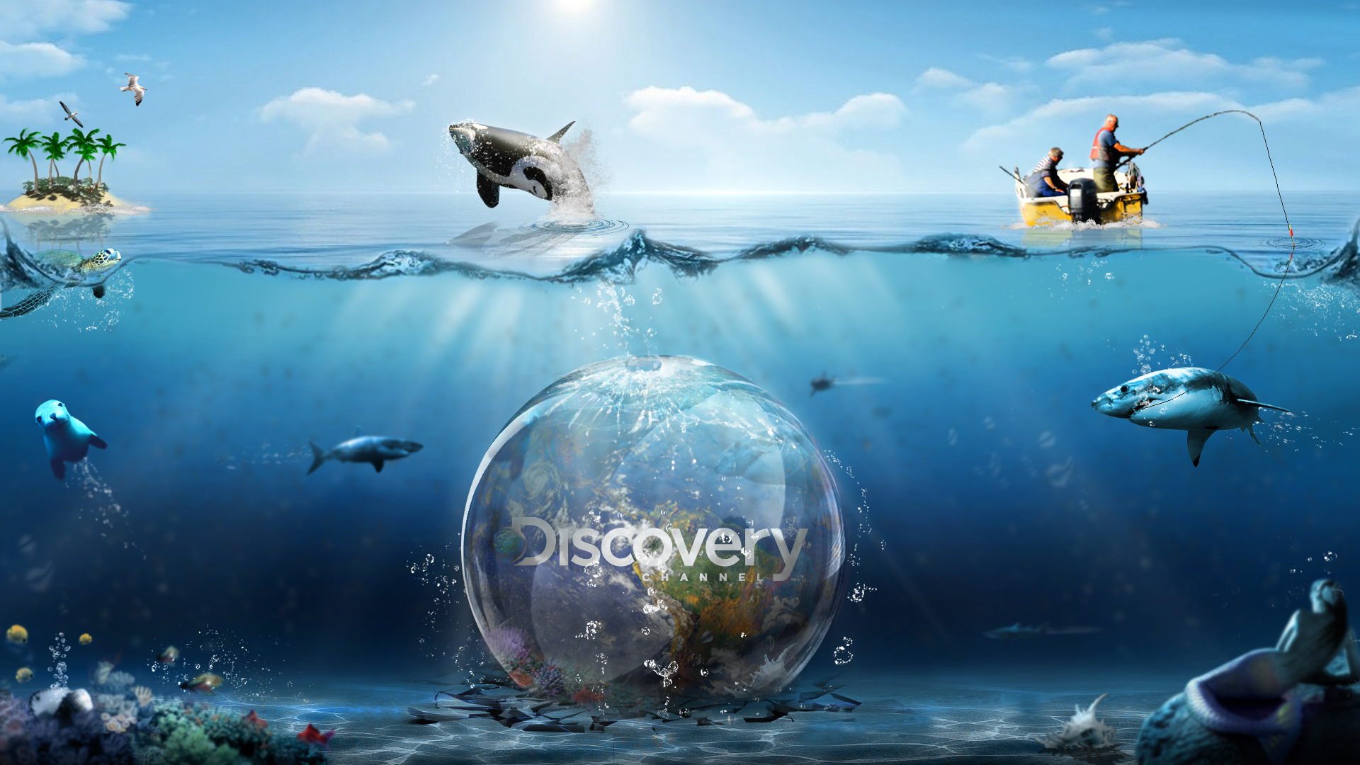 Back Wallpaper For Discovery Channel
