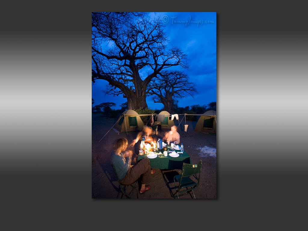 Puter Desktop Wallpaper Camping Under The Baobab Trees