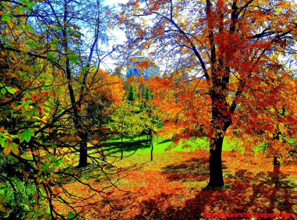 Gorgeous Autumn Scenery iPad Wallpaper HD