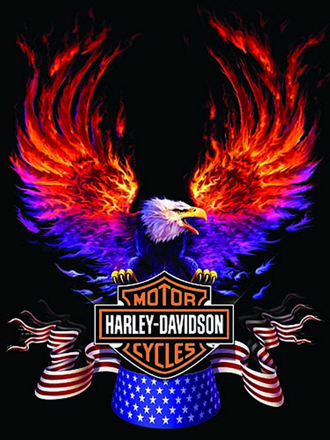 Harley Davidson HD Wallpaper Exclusive Android Bikes