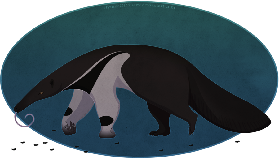 Giant Anteater By Hymnsie