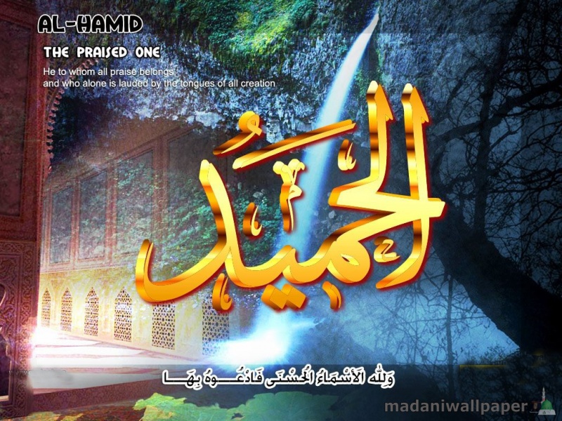 Name Of Allah 3d Wallpaper Nature