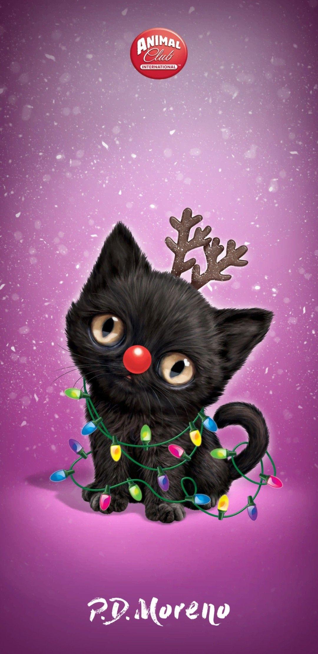 Free download Susan Crowe on Christmas Xmas wallpaper Christmas