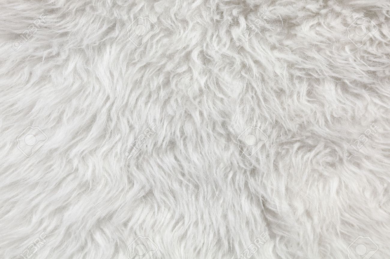 Wool Background Detail Of Sheep Fur Stock Photo Picture And