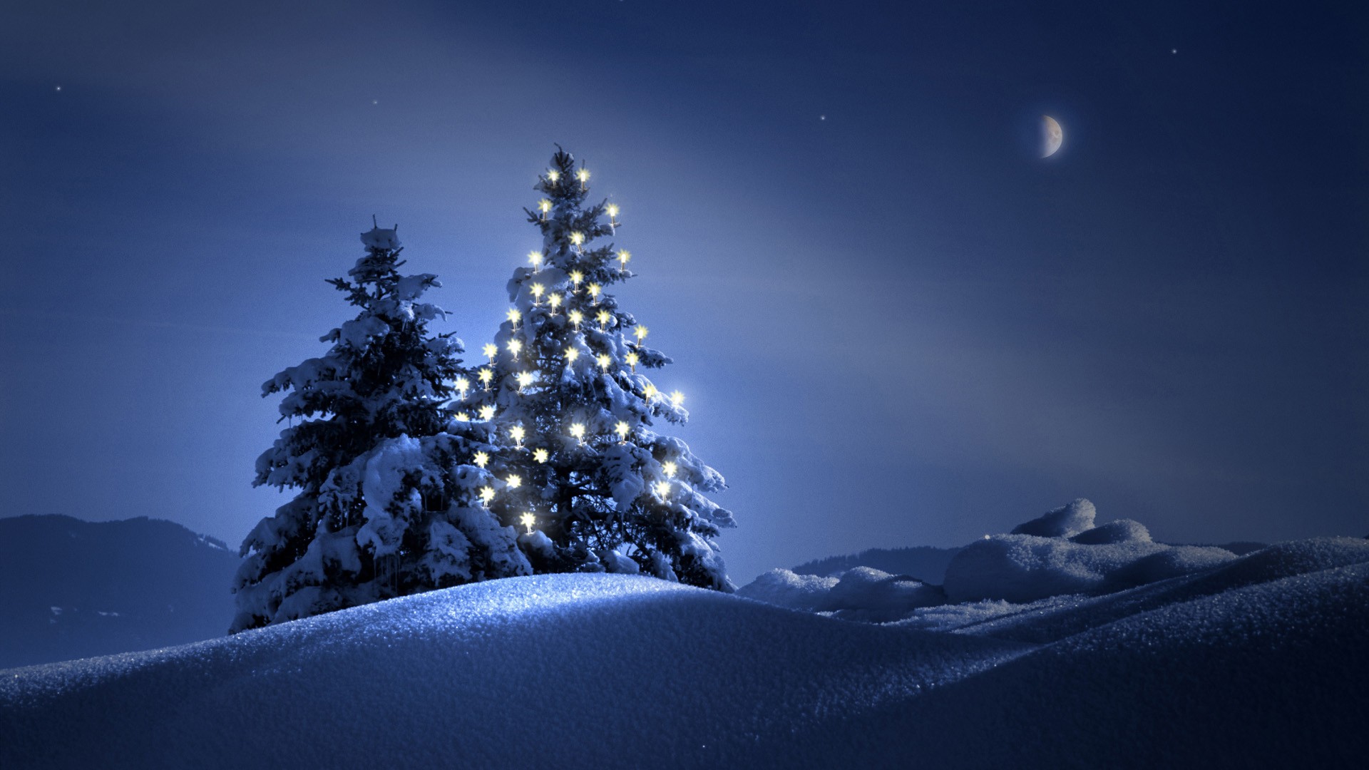 Beautiful Christmas Tree At Night Photos Wallpaper For