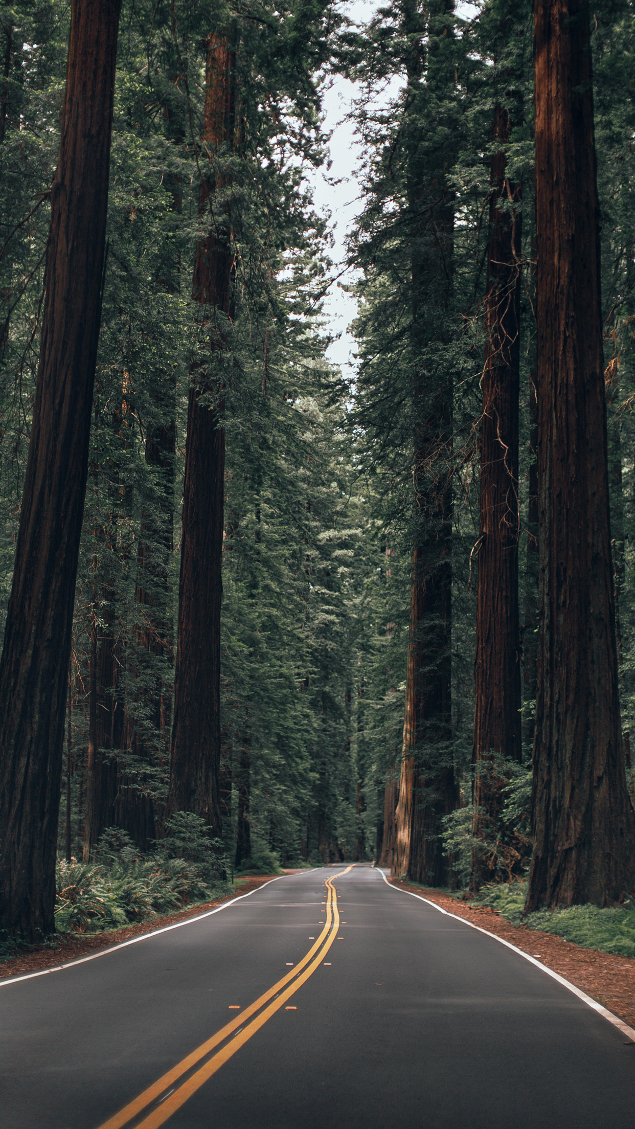 Wallpaper Of The Month California Summer