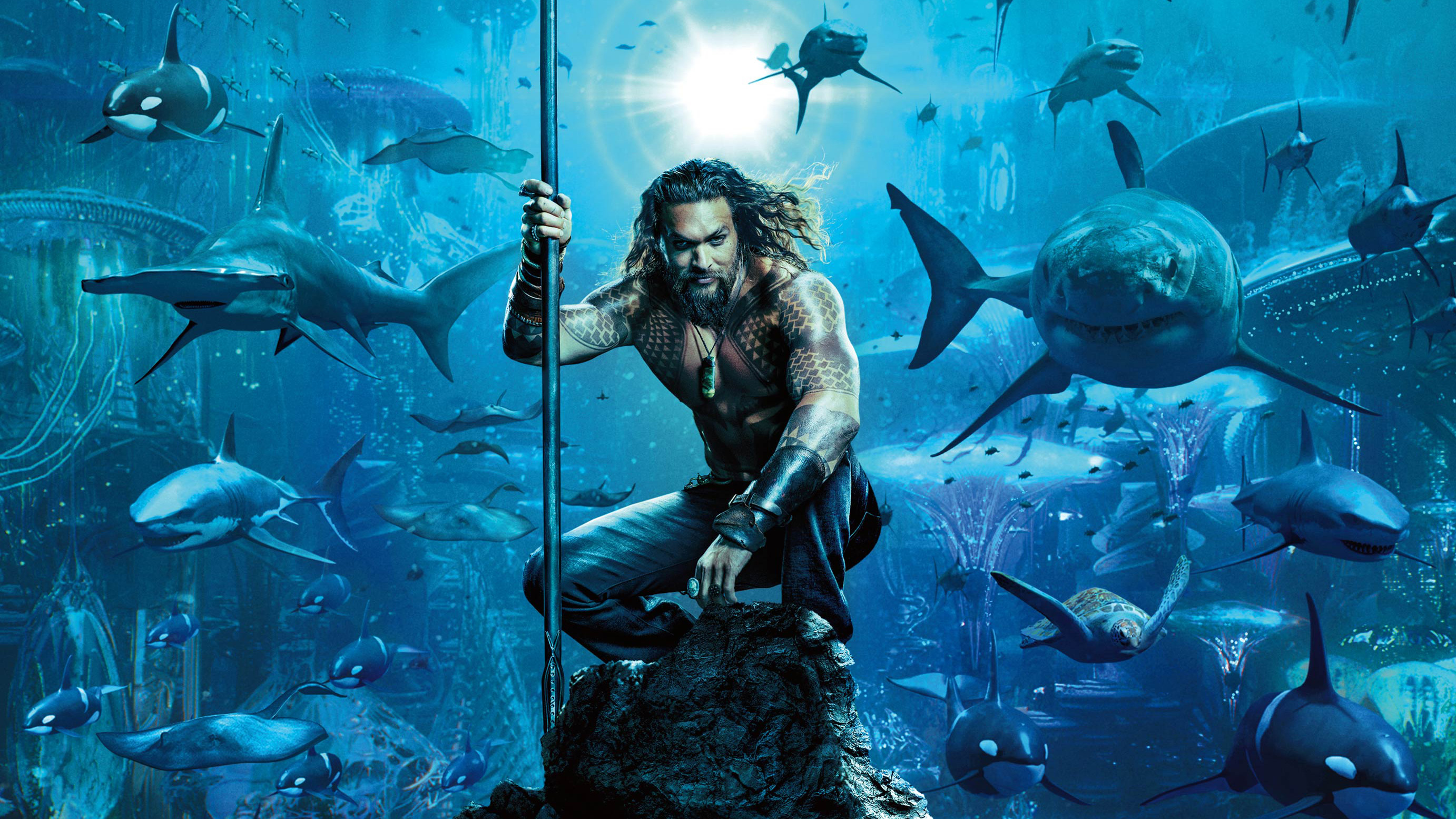 Aquaman Movie Poster HD Movies 4k Wallpaper Image