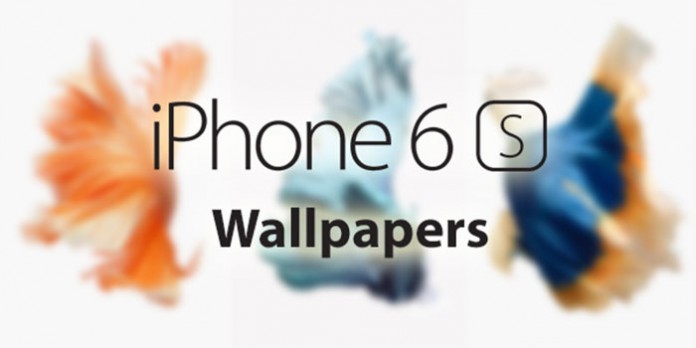 The New Feature In iPhone 6s And Plus Is Live Wallpaper With