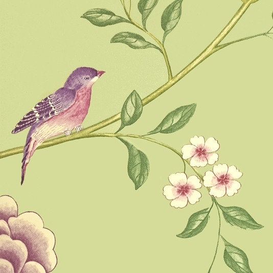Wallpaper Green With Floral And Bird Print In Fuchsia