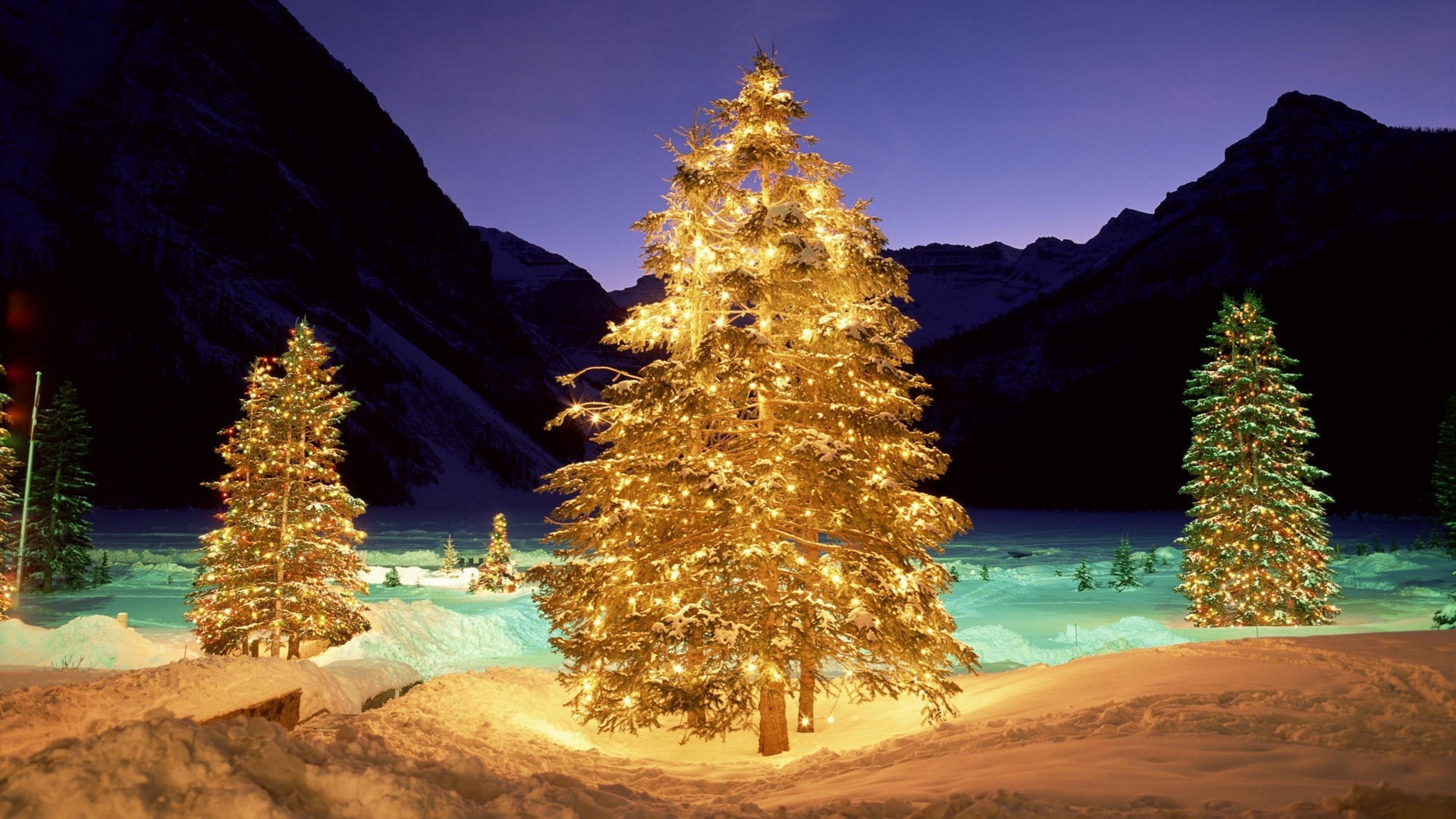 Three illuminated Christmas trees stand in a snowy landscape against a backdrop of majestic mountains at twilight, creating a magical holiday scene