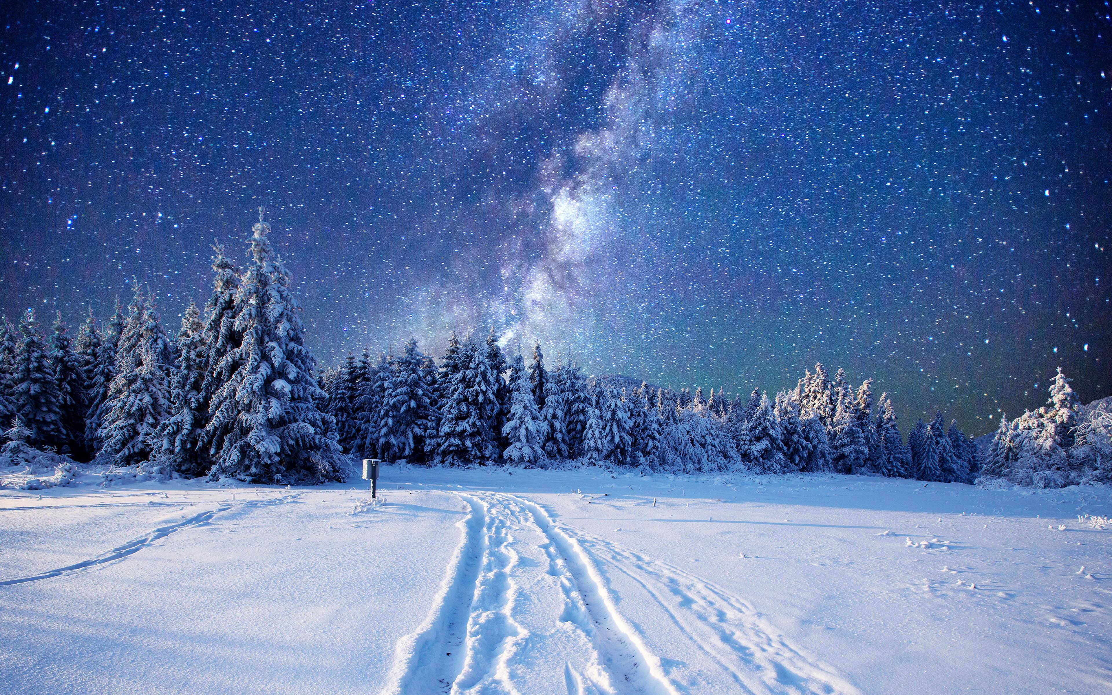 Nature Winter 4k Ultra HD Wallpaper