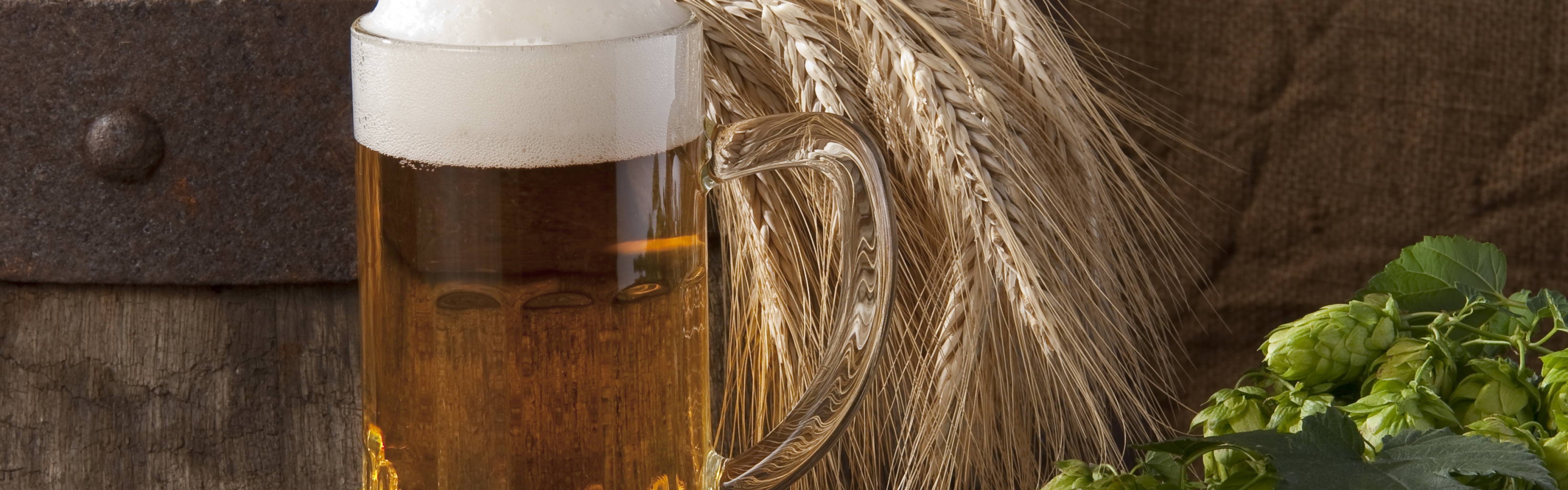 Wallpaper Beer Kuhol Foam Hops Barley Position