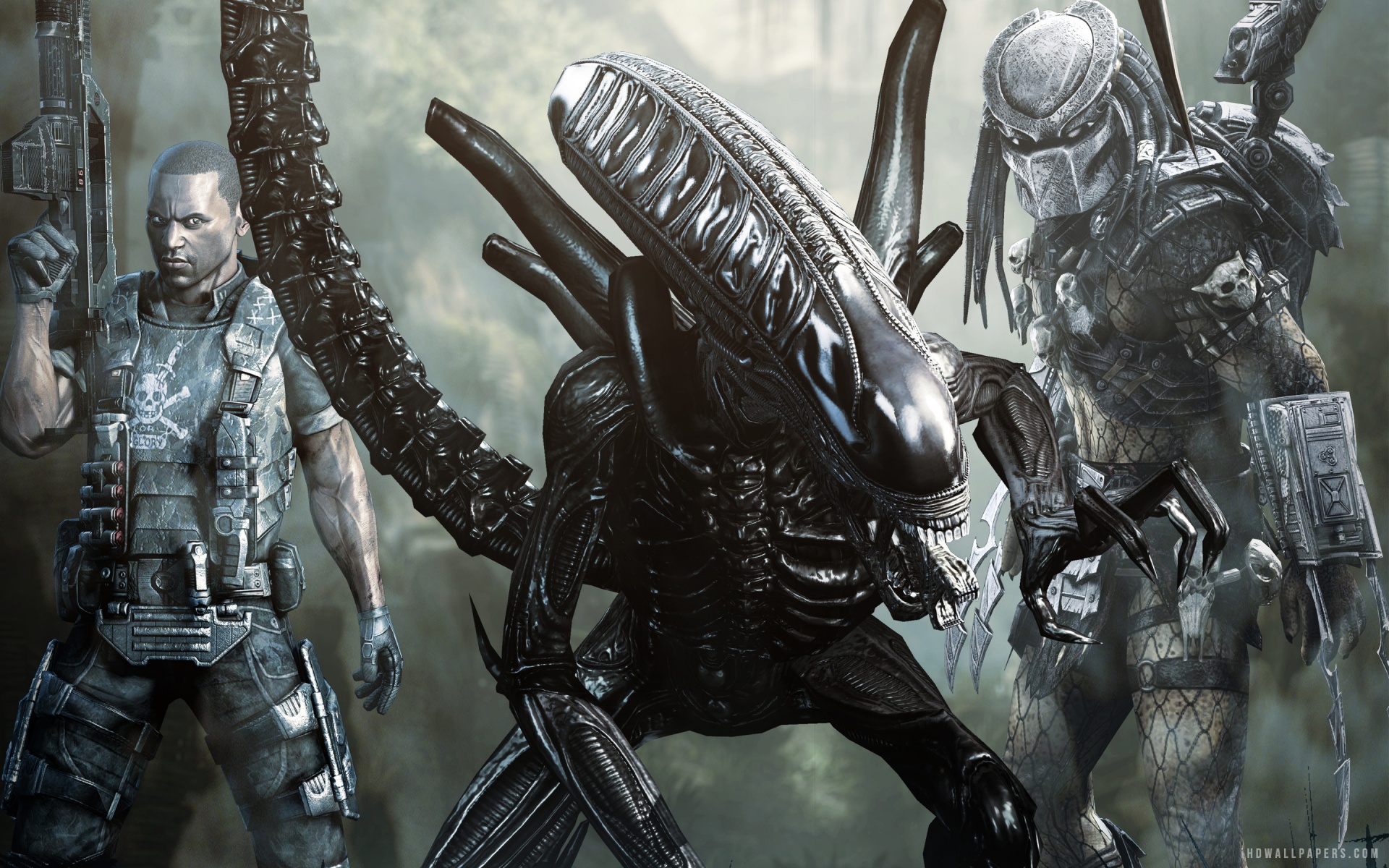 Aliens Vs Predator Game HD Wallpaper IHD