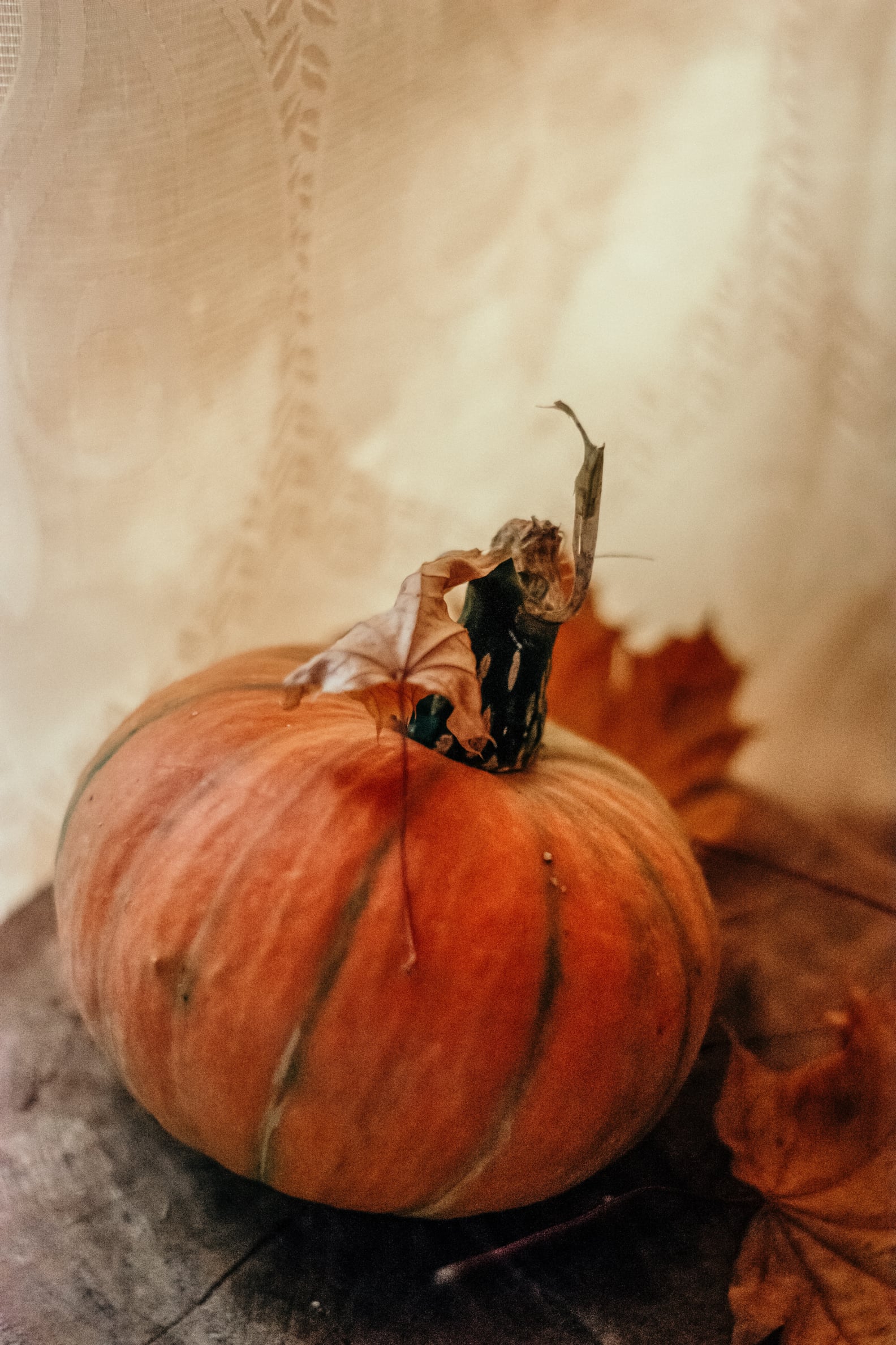 Fall iPhone Wallpaper