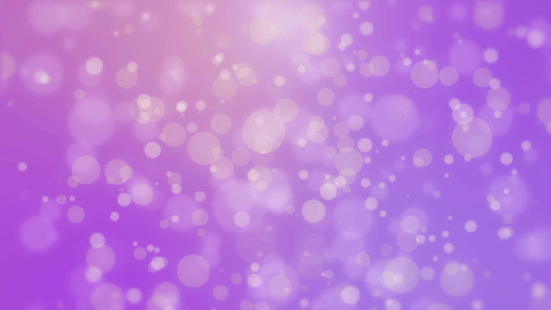 A Solid Light Purple Wallpaper