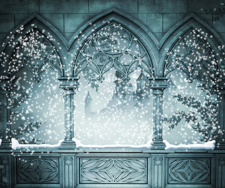 Vinyl Photography Backdrop Frozen Theme Princess Anna Castle Wall