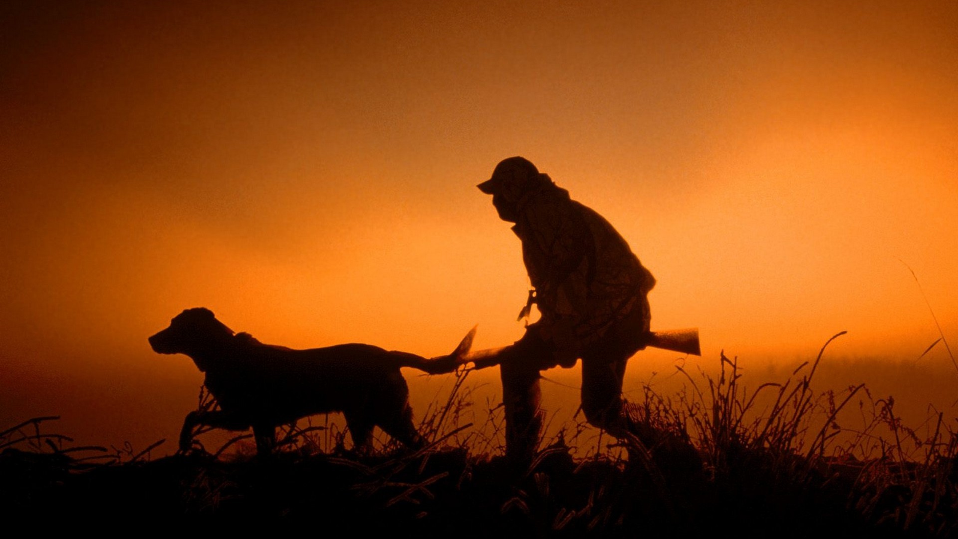  guns dawn hunter silhouettes dogs dusk hunting wallpaper background
