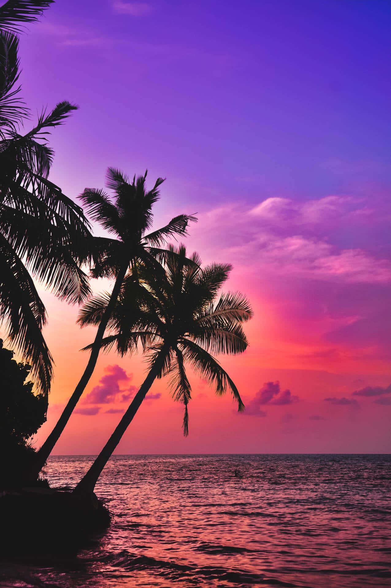 Summertime Purple Sunset Sky Wallpaper