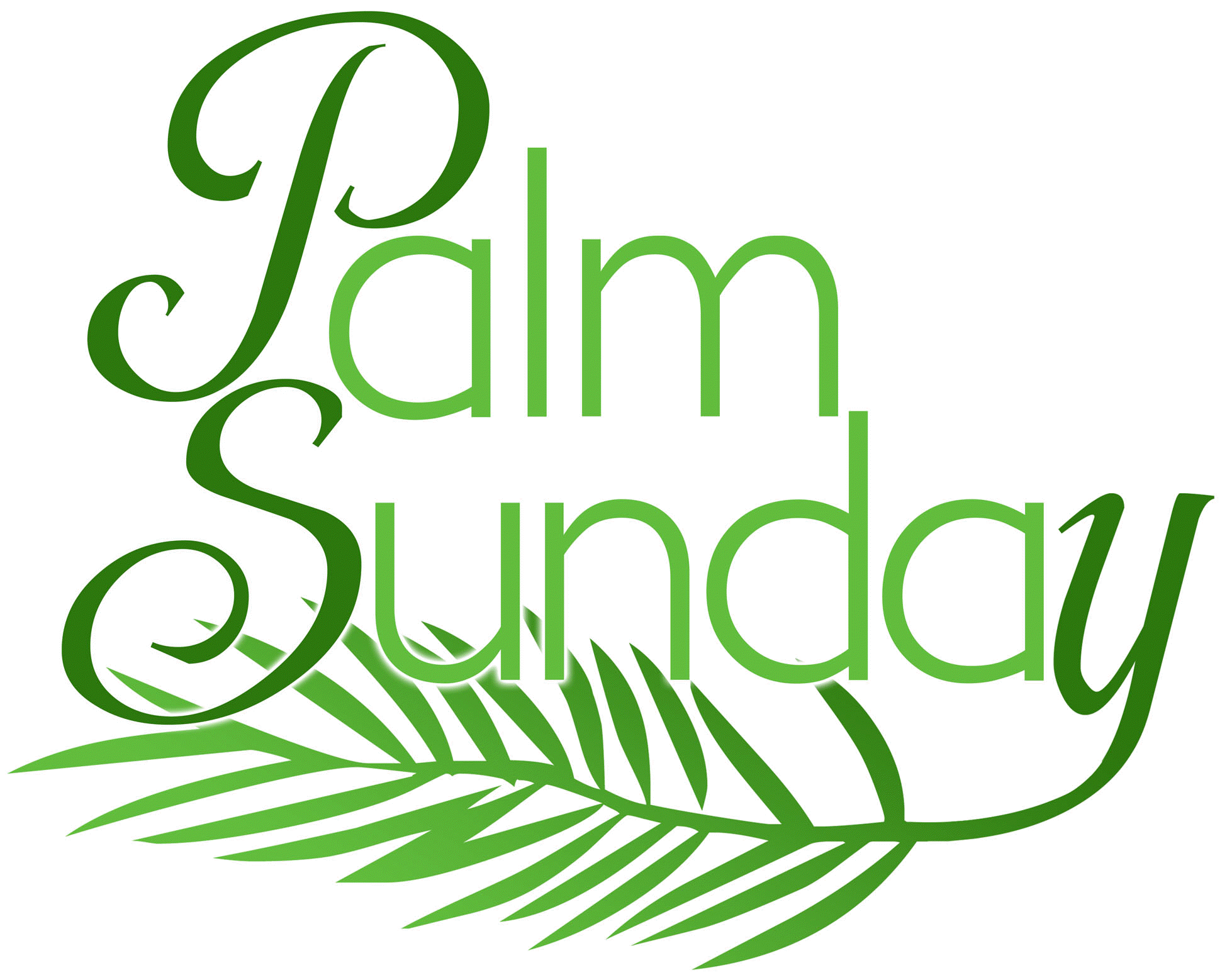 Happy Palm Sunday Image Whatsapp Dp Fb Profile Cover HD Wallpaper