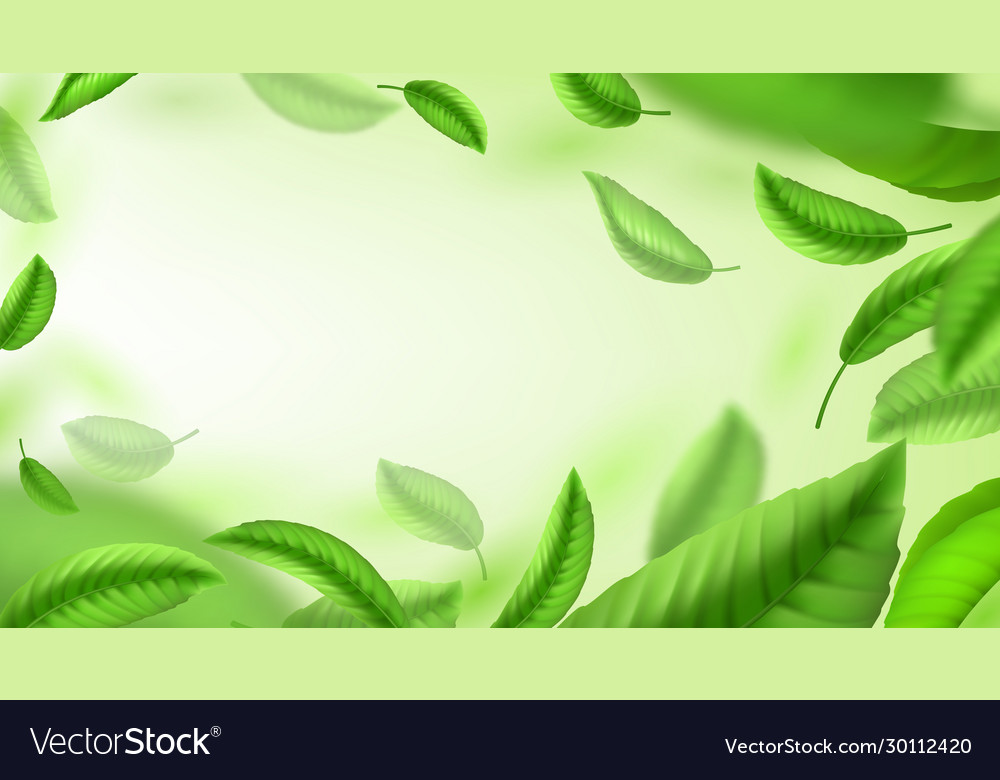 Tea Leaves Background Realistic Green Falling And Vector Image