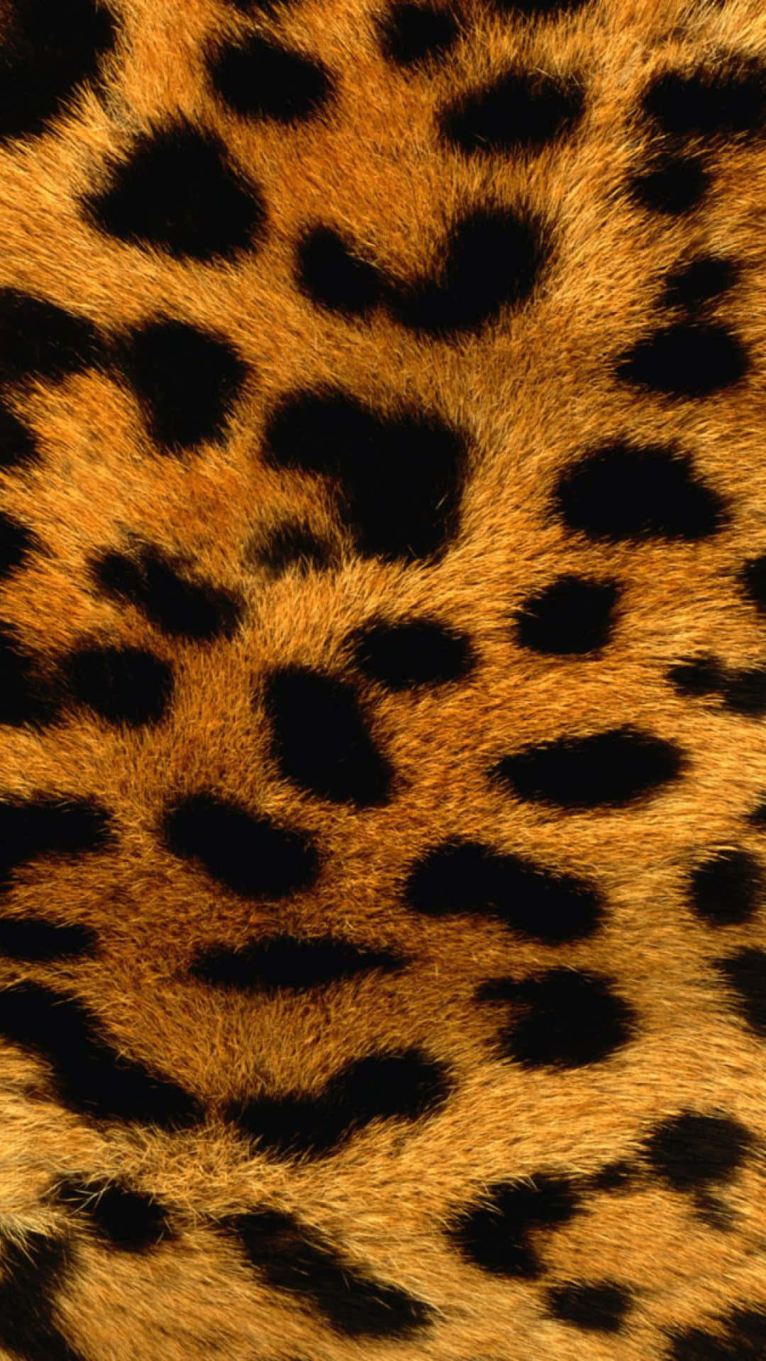 Animal Print Wallpaper