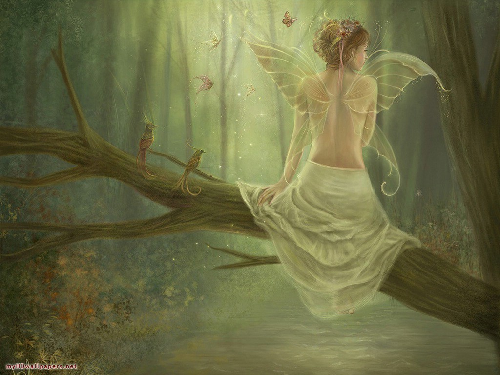 Butterfly Fairy Queen Desktop Wallpaper HD