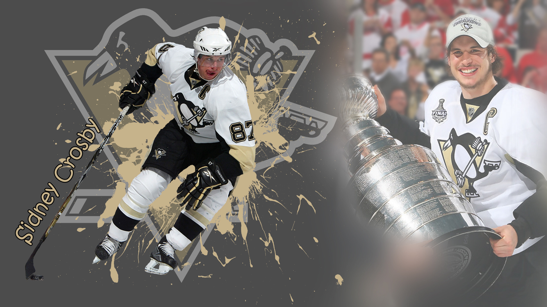 Sport   Hockey NHL hockey player Sidney Crosby 055922 jpg