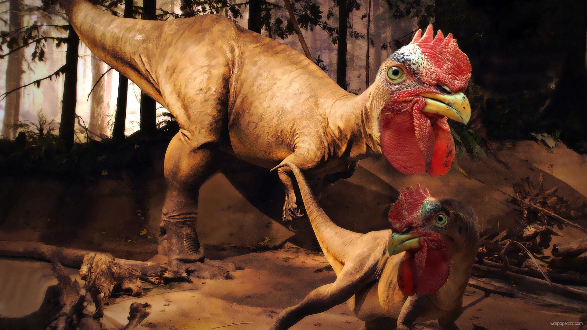 Chicken Raptors HD Wallpaper