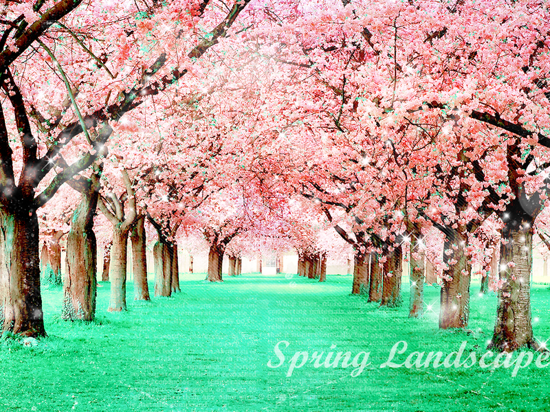 Spring Pictures Wallpaper By Itskaname