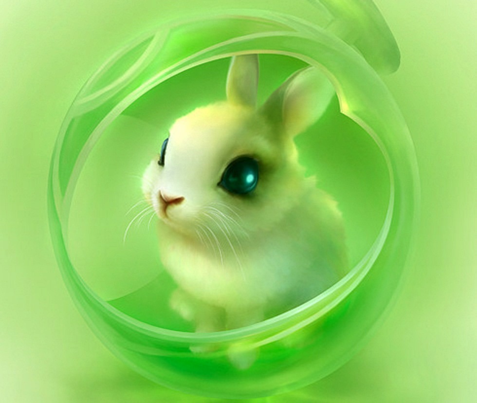 Free download Cute Rabbit wallpaper ForWallpapercom [980x828] for ...