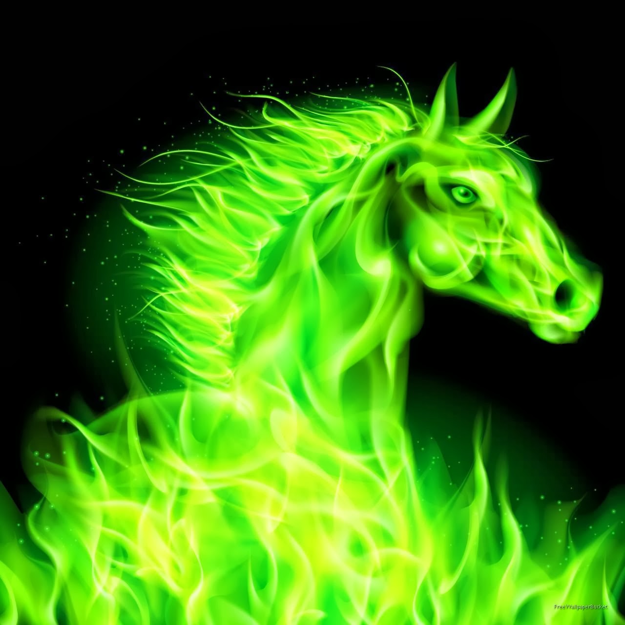 Animals Horse Species Awesome Illustrated Pictures And Wallpaper