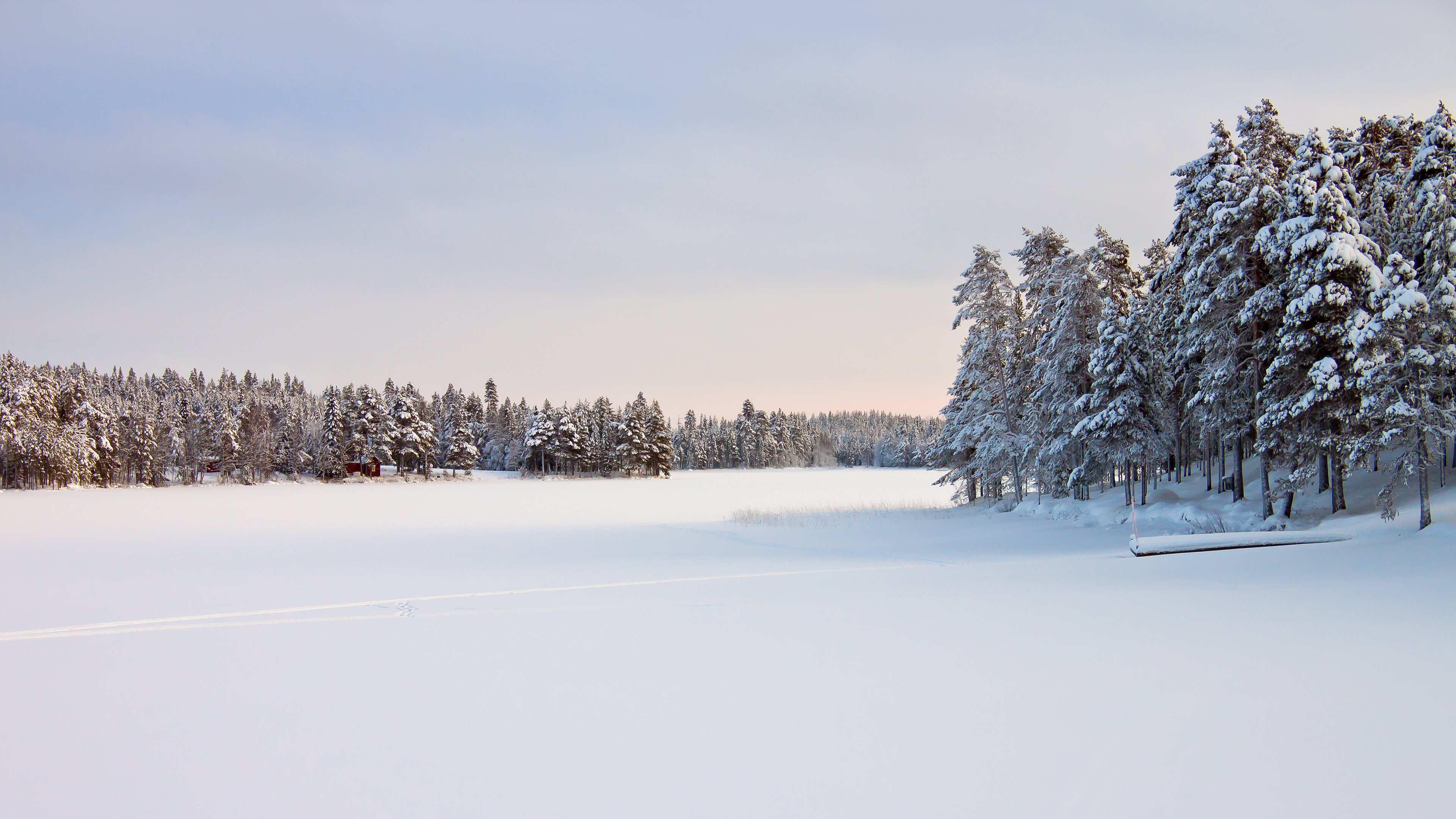 Landscape In Snow Wallpaper