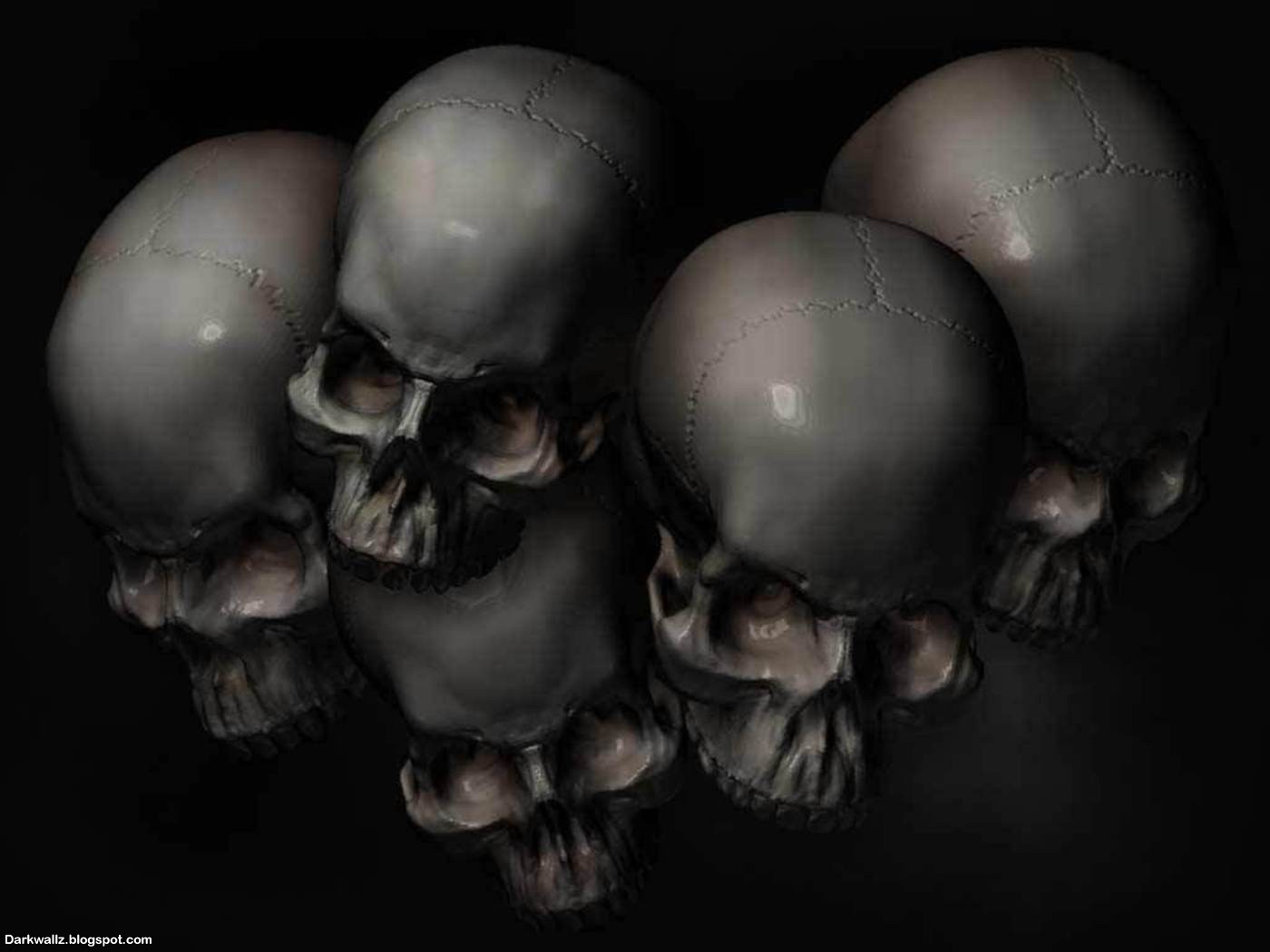 Skull Background Texture Photo Skulls