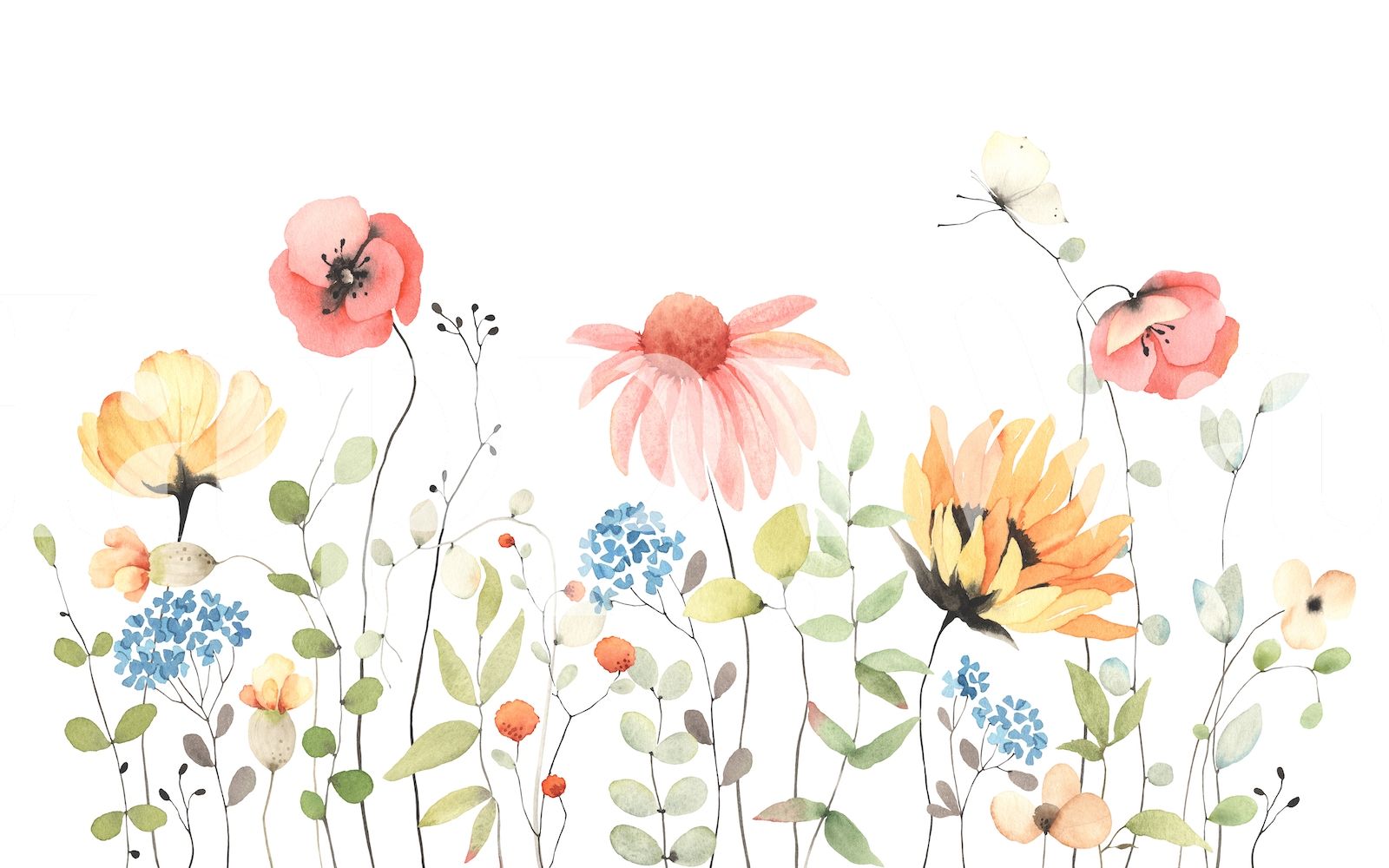 Summer Wildflowers Wallpaper