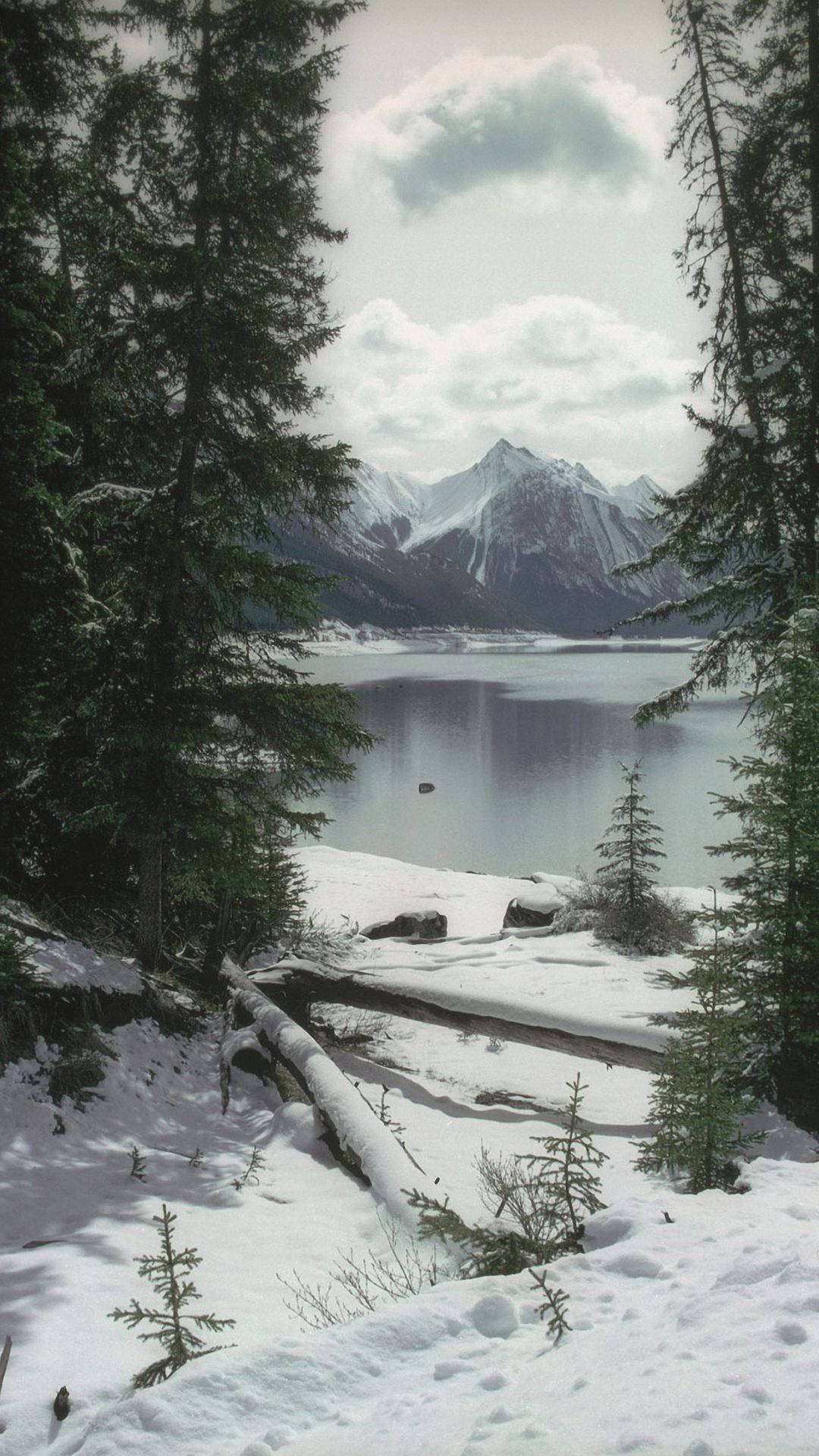 Winter iPhone Wallpaper