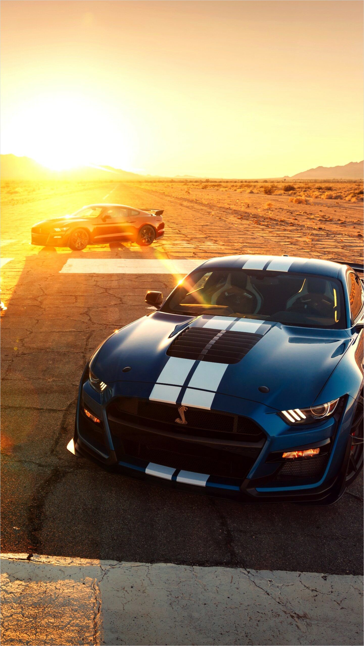 Shelby Gt500 4k Wallpaper In