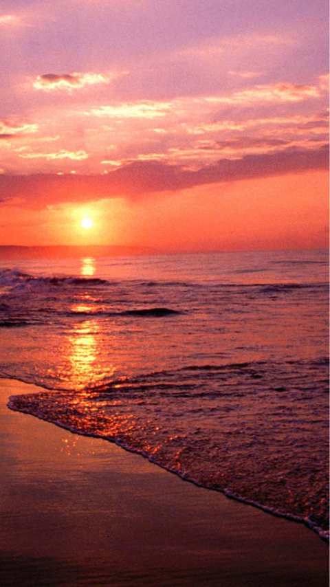 Free Download Beach Sea And Sunset Lg Phone Wallpapers 480x854