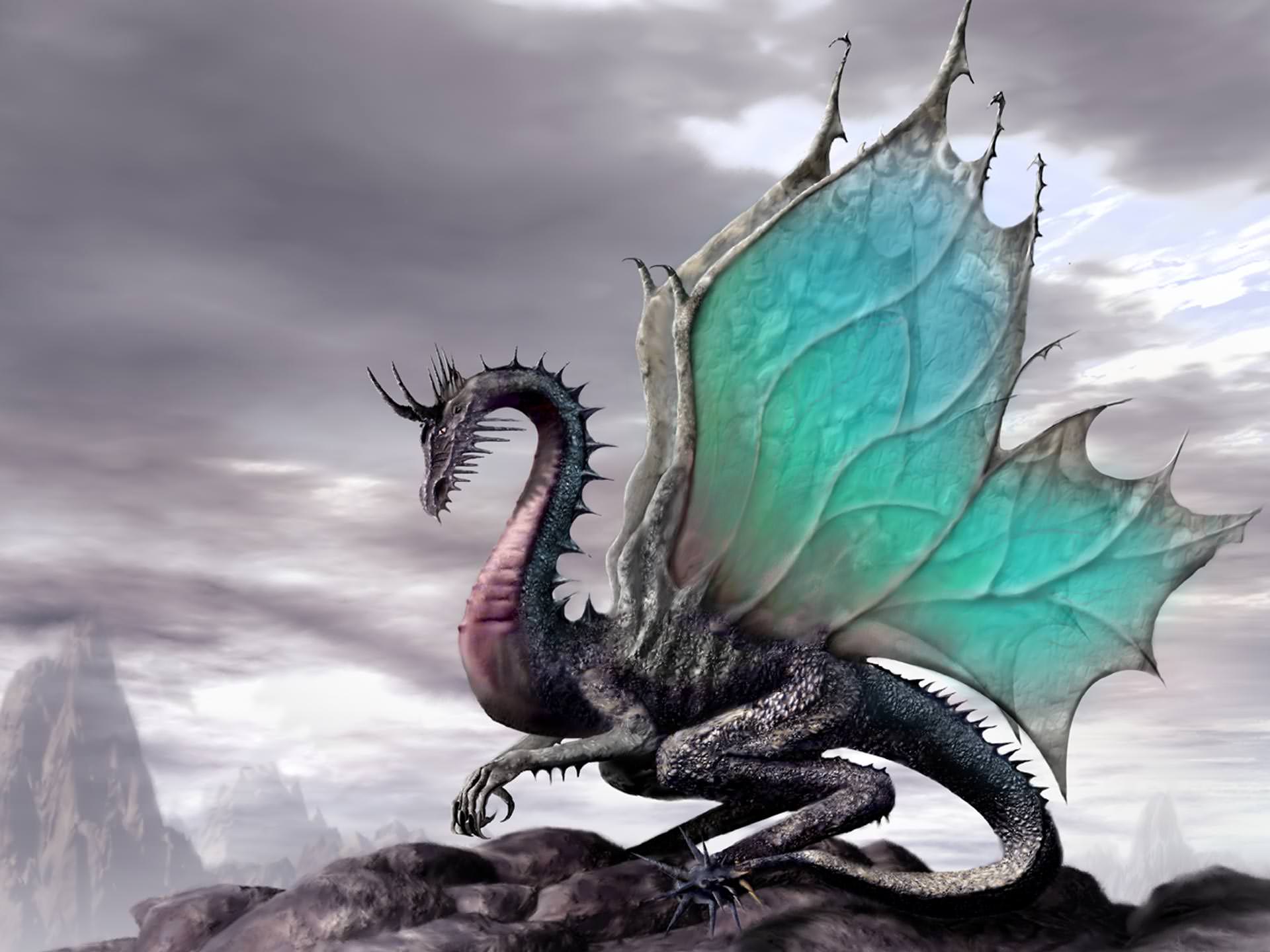 Dragon Wallpaper Background Image Pictures Design