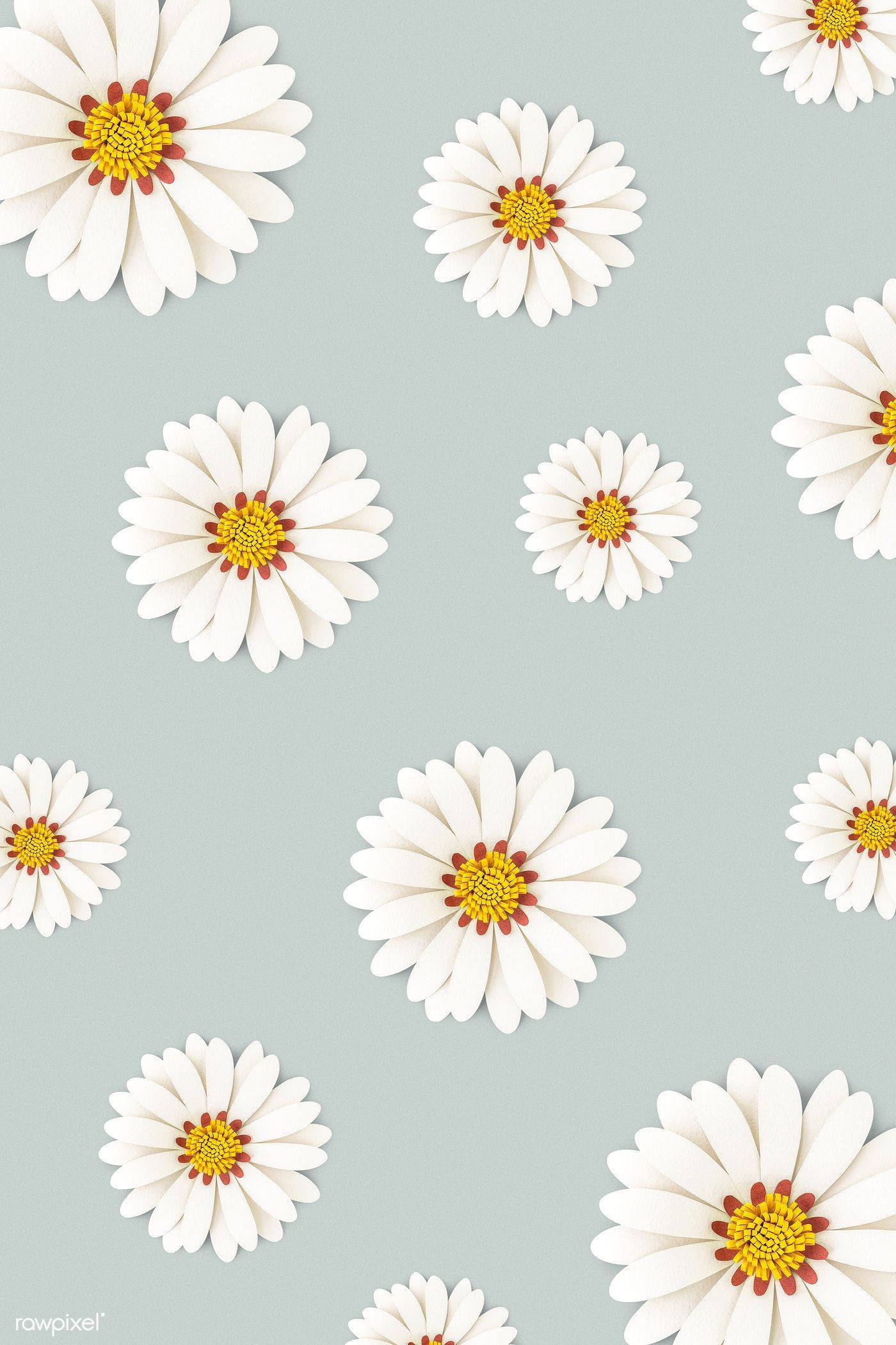 Daisy Aesthetic Wallpaper